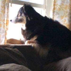 Meet your Posher, Rachel